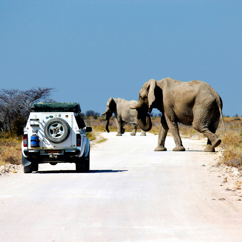 Mietwagenurlaub in Namibia
